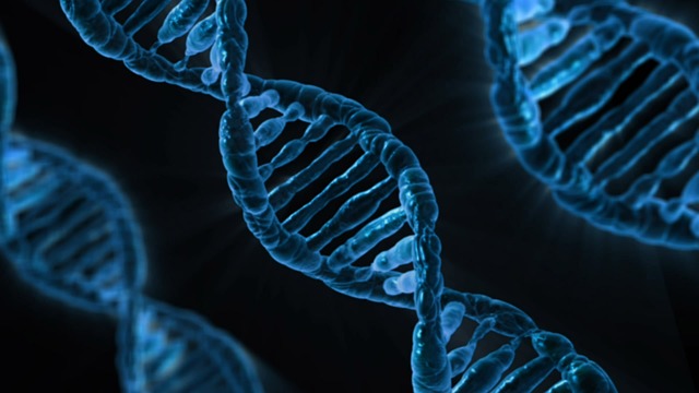 Does DNA always hold the answer?